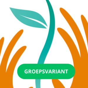 Maak Cursus