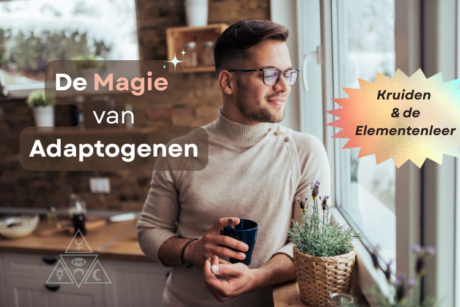 Symbolische afbeelding van adaptogene kruiden binnen holistische gezondheid