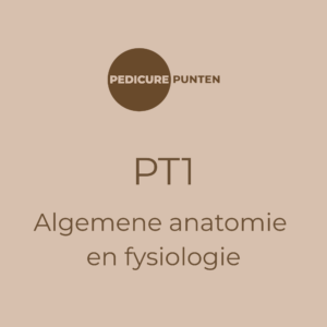 Algemene anatomie en fysiologie