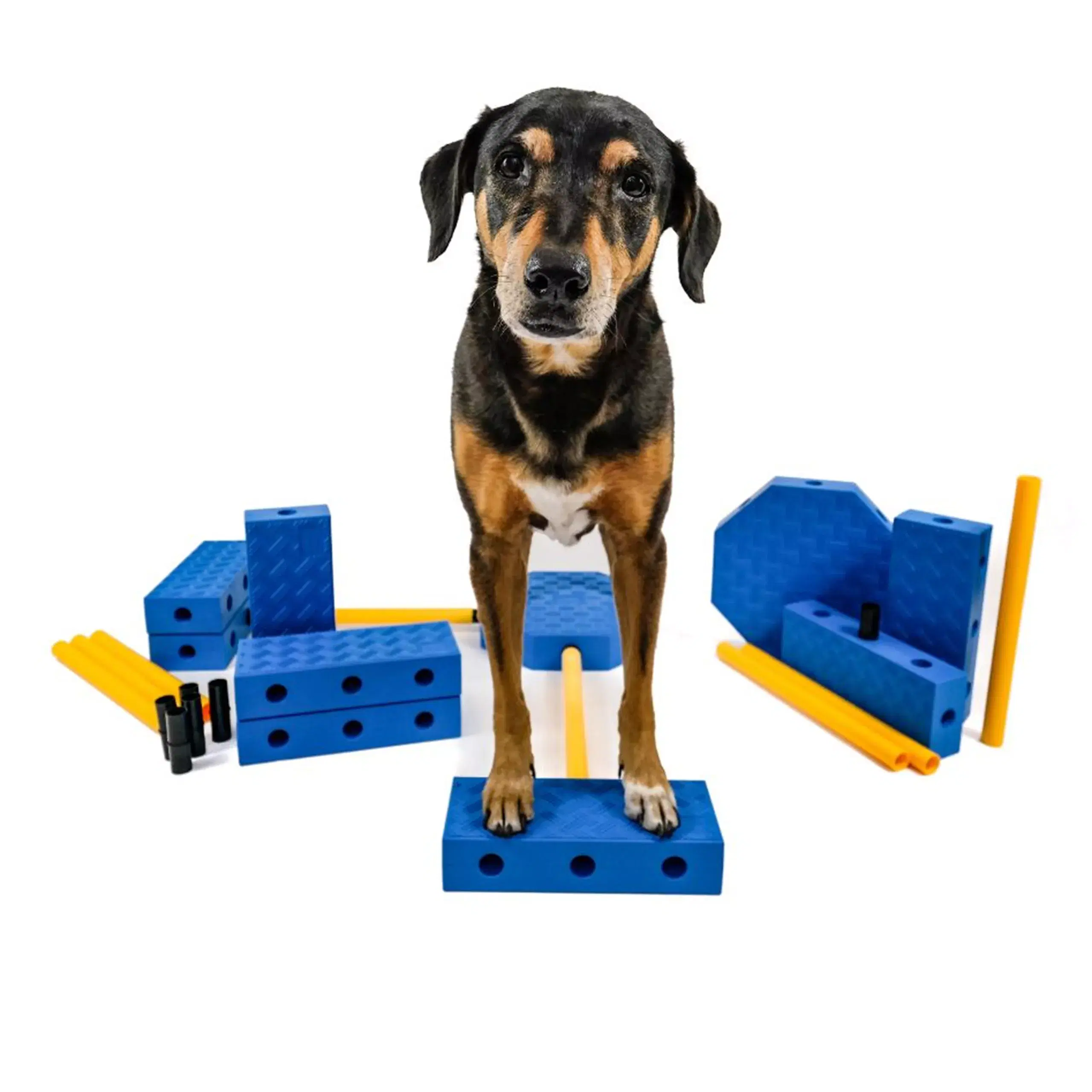 Fitpaws FitKinect Xtra - Afbeelding 2
