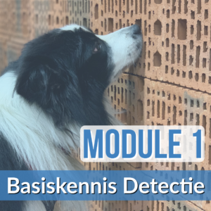 Module 1: Basiskennis Detectie